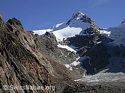 F000243: Am Jegihorn: Fletschhorn