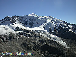 F000272: Jegihorn: Weissmies und Triftgletscher