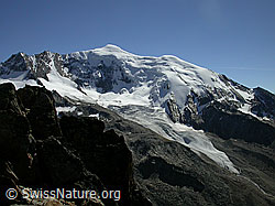 F000289: Jegihorn: Triftgletscher und Weissmies