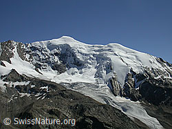 F000309: Triftgletscher und Weissmies