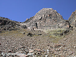 F000317: Jegihorn