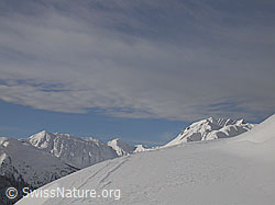F001188: Oberblatthorn, Saflischpass und Bättlihorn