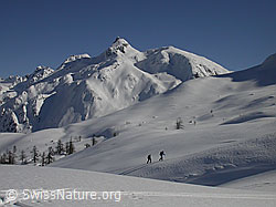 F001766: 2 Skitourenfahrer im Aufstieg.