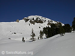 F001831: Trogenhorn mit Schnee