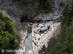 F002899: Baumstämme, geschliffene Steine in Schlucht