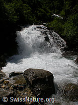 F003201: Grosser Stein vor Wasserfall