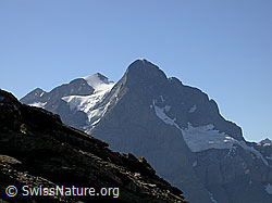 F005146: Rosenhorn, Mittelhorn und Wetterhorn