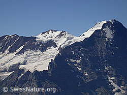 F005183: Schwarzhorn: Trugberg, Mönch und Eiger