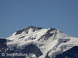 F005186: Trugberg und Walcherhorn