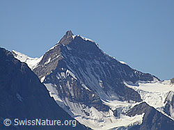 F005187: Rottalhorn und Jungfrau