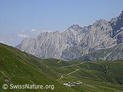F005241: Grindelwald First: Grosse Scheidegg, Engelhörner