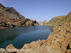 F005534: Züesee