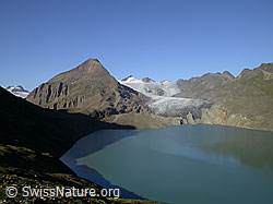 F005912: Bättelmatthorn und Griessee