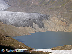 F005914: Griessee und Gletscherzunge des Griesgletschers