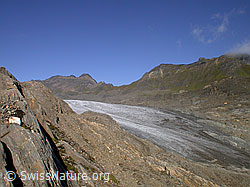 F005927: Gletscherzunge des Griesgletschers und Ritzhörner