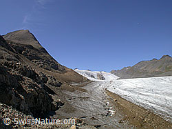 F005947: Bättelmatthorn, Blinnenhorn, Griesgletscher und Ritzhörner