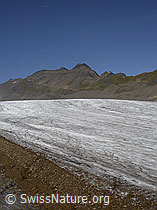 F005953: Ritzhörner und Griesgletscher