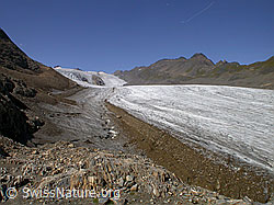 F005966: Blinnenhorn, Griesgletscher und Ritzhörner
