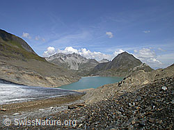 F005976: Griesgletscher, Pizzo Gallina, Griessee und Nufenenstock