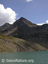 F006016: Grieshorn und Griessee