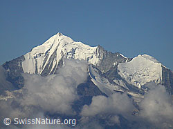F006186: Spitzhorli: Weisshorn, Brunegghorn, Bishorn