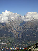 F006207: Spitzhorli: Gredetschtal