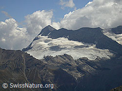 F006230: Spitzhorli: Monte Leone und Chaltwassergletscher