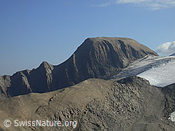 F006323: Rappehorn und Rappegletscher