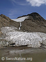 F006525: Fäldbachgletscher und Turbechepf