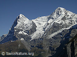 F006731: Eiger, Mönch, Eigergletscher, Nollen, Guggigletscher