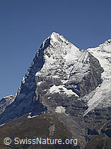 F006732: Eiger, Berner Oberland