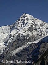 F006733: Mürren: Mönch, Gletscherzunge Guggigletscher