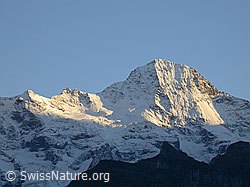 F006790: Mürren: Lauterbrunnen Breithorn im Abendlicht