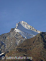 F007082: Brunegghorn, Mattertal