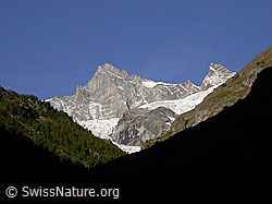 F007099: Hohlichtgletscher und Zinalrothorn