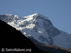 F007106: Breithorngletscher, Breithorn und Triftjigletscher