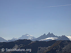 F007130: Grand Combin und Aiguilles Ruges d
