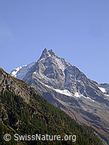 F007215: Besso