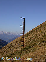 F008161: Schneehöhenmesser