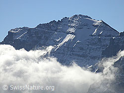 F008206: Föhnstimmung am Helsenhorn