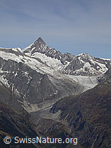 F008485: Finsteraarhorn und Fieschergletscher