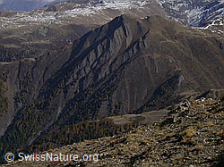 F008529: Breithorn: Eggishorn, Binntal
