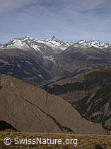 F008586: Felssporn und Berner Alpen