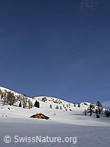 F008996: Alphütte in schneebedeckter Landschaft