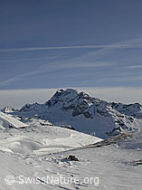 F009003: Wächte