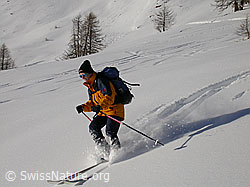 F009167: Skitourenfahrerin bei Abfahrt im Tiefschnee