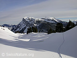F009236: Skitour Sieben Hengst mit Spur, Hohgant West, Steinigi Matte