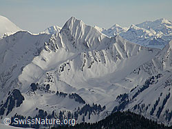 F009336: Tannhorn