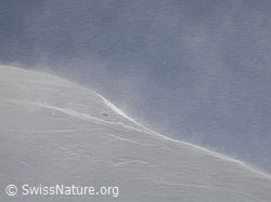 F009420: Starke Schneeverfrachtung