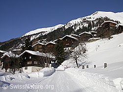 F009484: Bergdorf Imfeld im Winter
